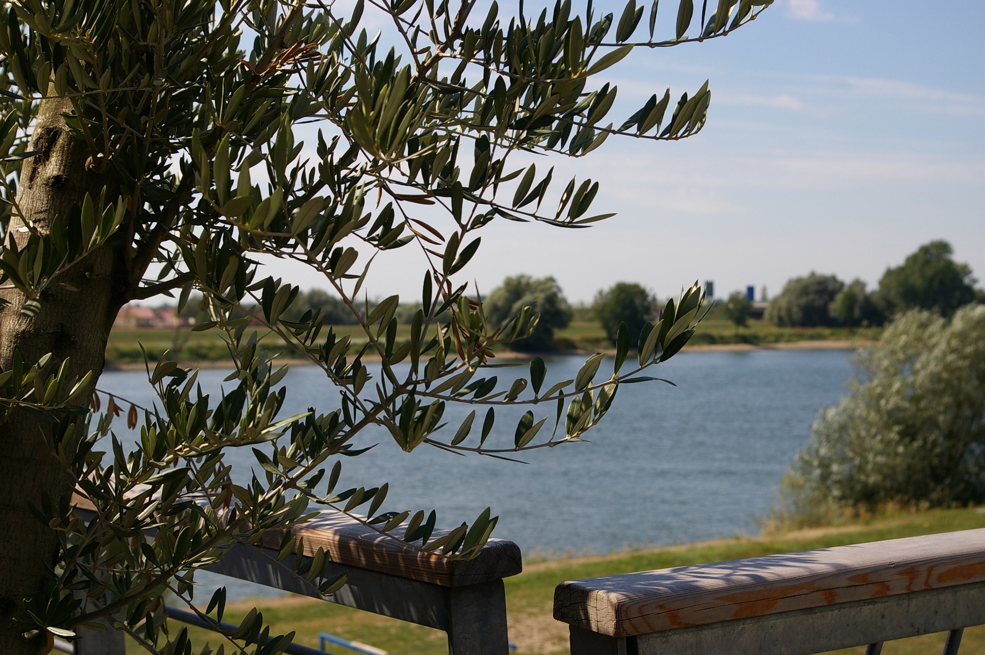 Laurin Pasta & Pizza in Deggendorf